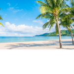 ~=Beach ~=~ Café=~