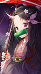 Groupe nezuko
