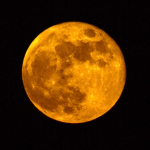 The Golden Moon Gamer Group