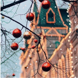 christmas,