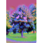 tr1p