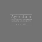 Ageratum
