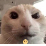 J-j