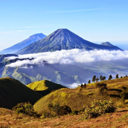 Gunung Asli icon