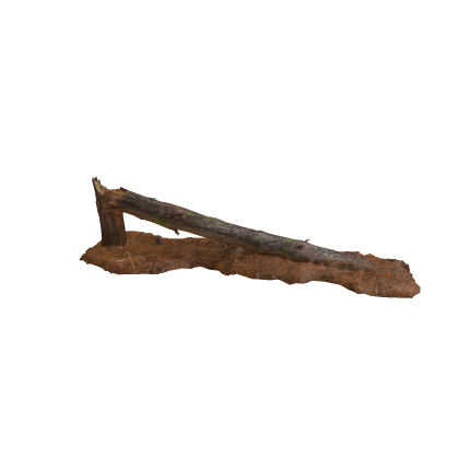 Fallen Tree