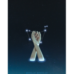 - The Zodiac Fans - ( star sign fans or star )