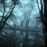 nocturnel
