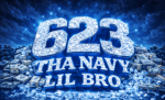 623 THE NAVY