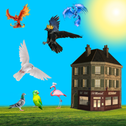 Gordan Birdsy's Kitchen