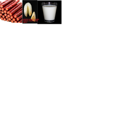 Speech room of BEEF STICK, MILK, AND CHEESE!