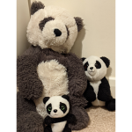 Panda's Gaming