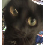 大好き<3