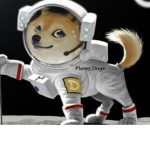 Planet Doge