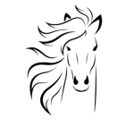 Equestrian Shop