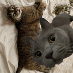 twiggy and ashy