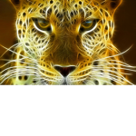 Leopard Army!