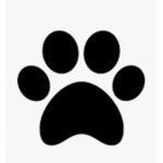 Bear :))