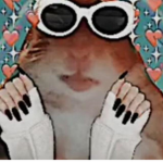 CRAFTYMONKEY2 GANG
