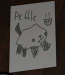 THE PEBBLEERS