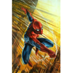 Spider-Man Fan Club!!