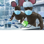 lab rats united