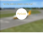 FIy Gold