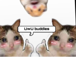 ._. buddies