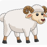 Baa Studio
