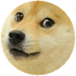 Gaming Doge Version