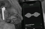 Lol 7katze
