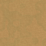 The Cardboard_Eaters