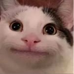 well hello there :3