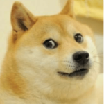 DOGE CULB PLACE!