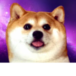 The planet of doggo