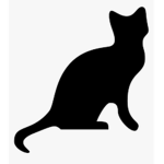 the black kitten!