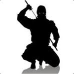 Epic Ninja Ops Elit Force