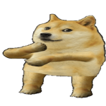 doges under rule