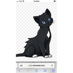 #Warrior Cats!