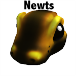 Newts