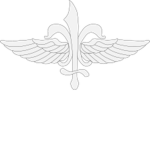 Unit 269 "Sayeret Matkal"