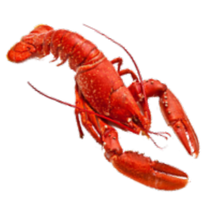 lobster icon Roblox decal