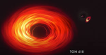 black hole cat