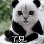 皮爱去帝国