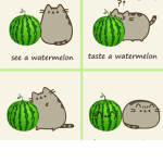 Watermelon oof