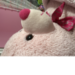 Cjcihkhlhcul