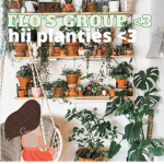 plant people x