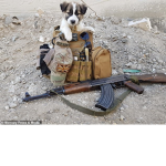 United States Puppy Military