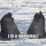 Navy Narwhal Nation