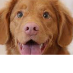 Wassup!!!!! ITS YA GIRL COTTON!!!!!!