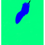 The Blue Chile
